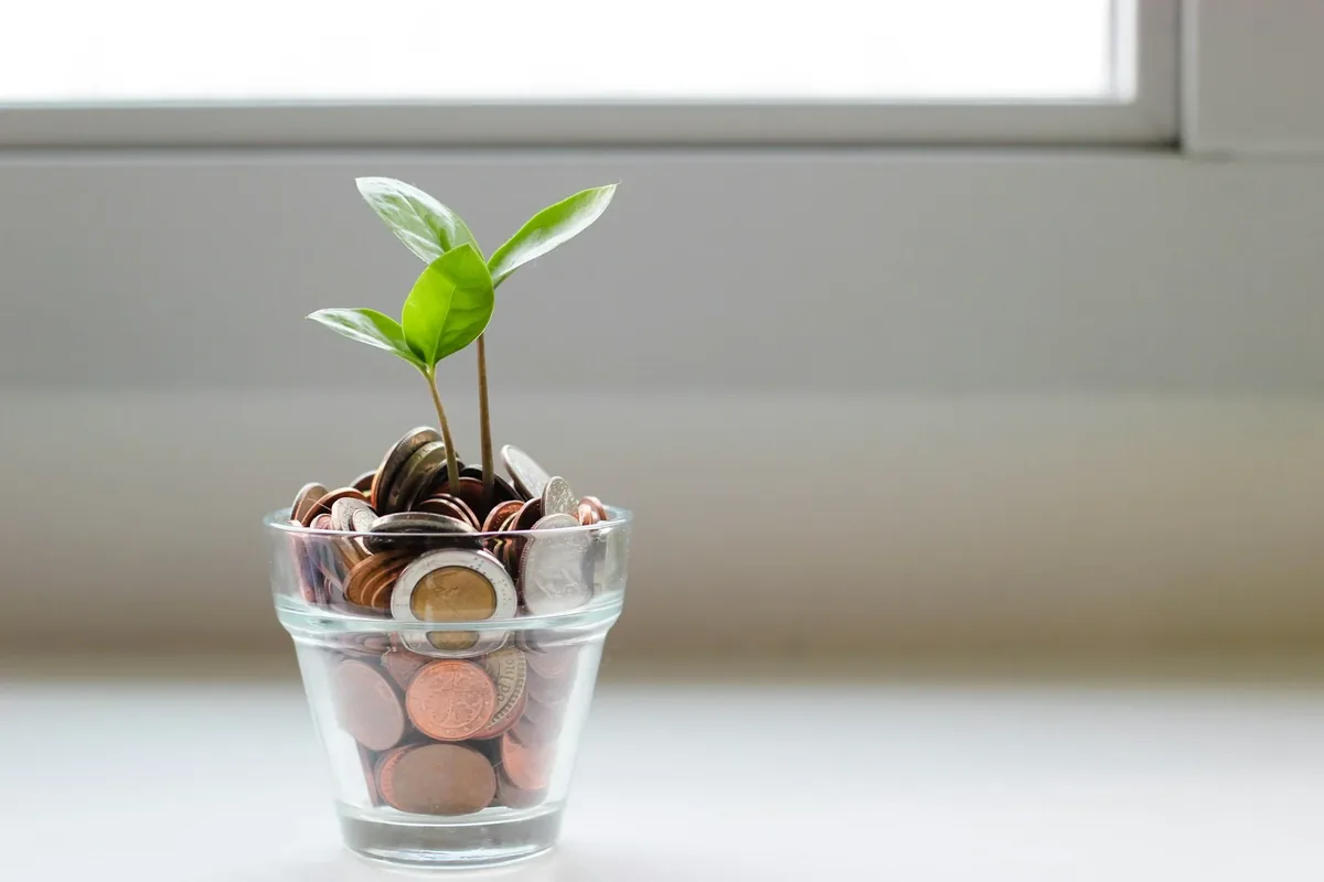 Coins in a glass jar with a green seedling growing from them
